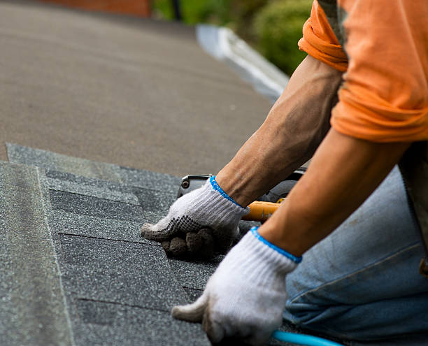 Best Roof Gutter Cleaning  in Burlington, ND