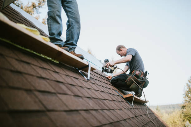 Best Emergency Roof Repair  in Burlington, ND
