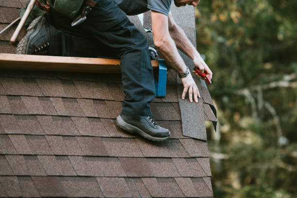 Best Roof Leak Repair  in Burlington, ND