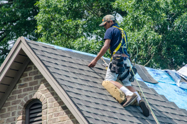 Best Roof Repair Estimates  in Burlington, ND
